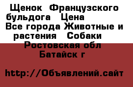 Щенок  Французского бульдога › Цена ­ 35 000 - Все города Животные и растения » Собаки   . Ростовская обл.,Батайск г.